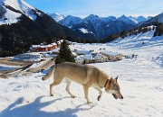 Sulle nevi da San Simone alle Baite Fontanini splende il sole!23febb26- FOTOGALLERY